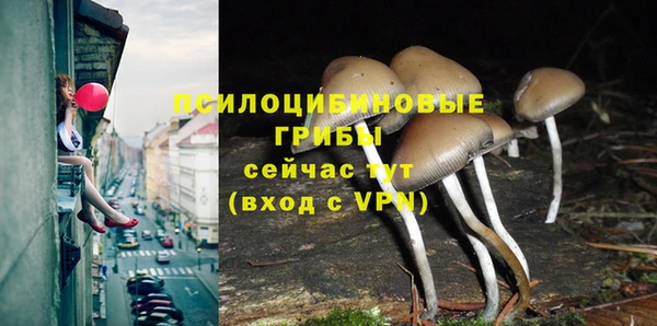 соль ск Покров