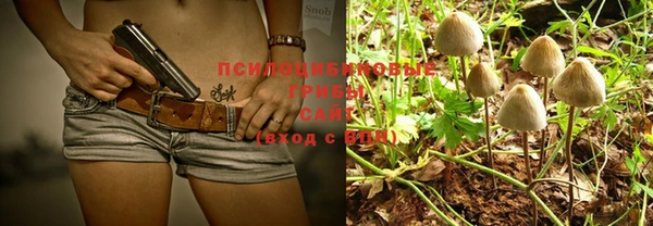 МДПВ Покачи