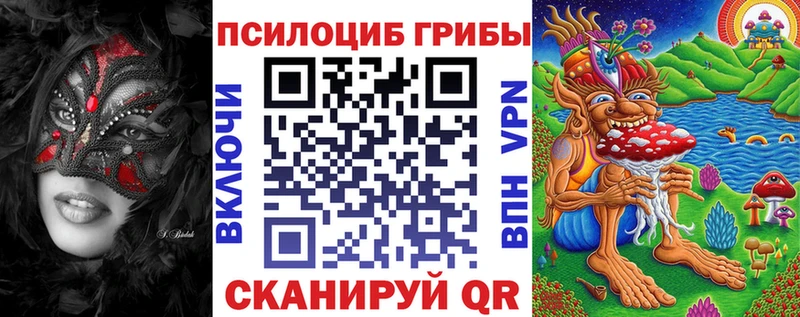 Псилоцибиновые грибы Psilocybe  Купить  Александровское 